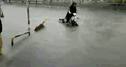1537251024631995.gif